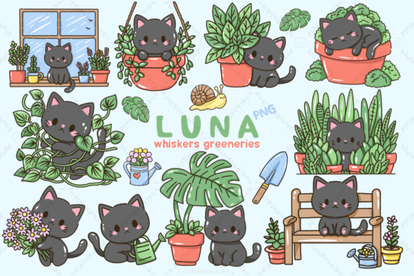 Download Kawaii Black Cat &amp; House Plants - Plants Collection