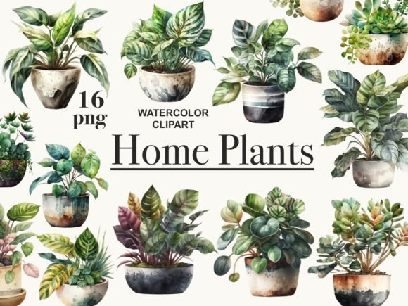Download House Plants Clipart, Potted Plants Png - Plants Collection